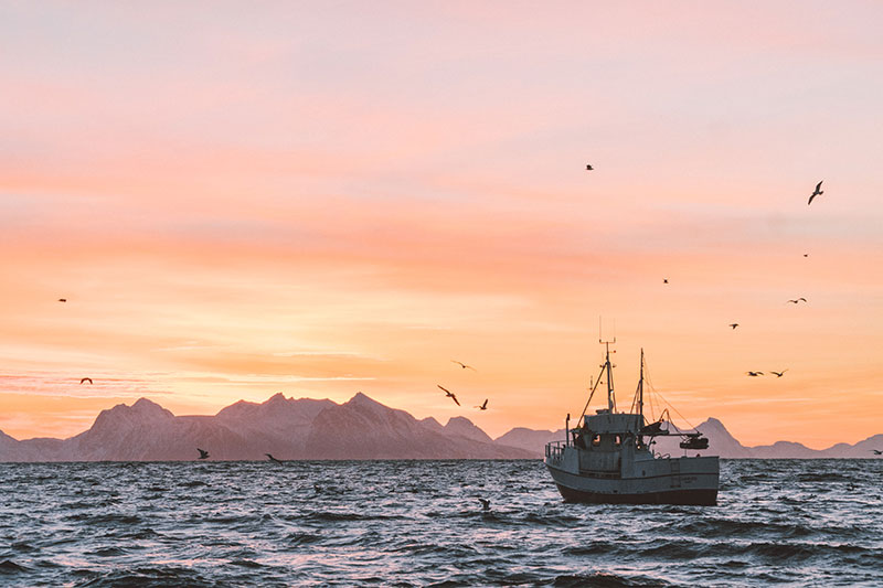 Osservatorio Nazionale della Pesca