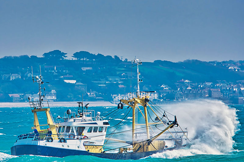 Osservatorio Nazionale della Pesca