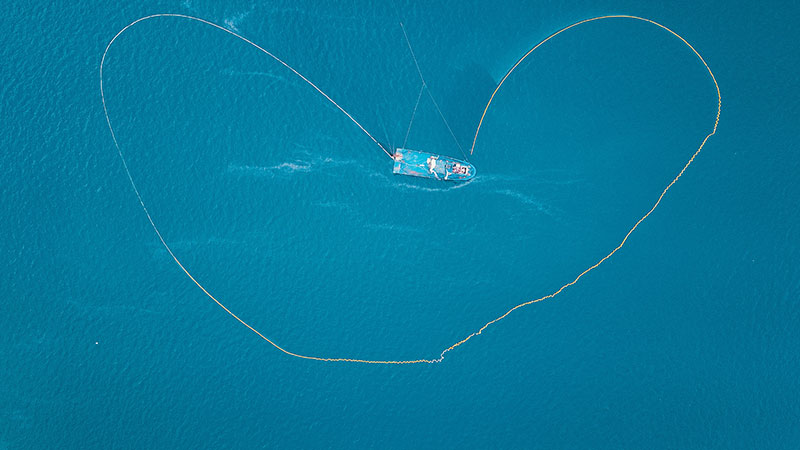 6173c507fd8271461a6cfc67_umit-yildirim-7ymKWmWsX9A-unsplash Osservatorio Nazionale della Pesca