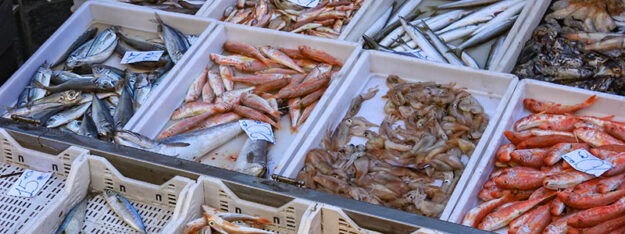 Osservatorio Nazionale della Pesca