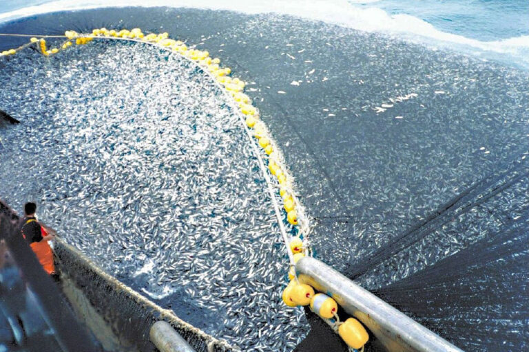 misure UE contro pesca non sostenib