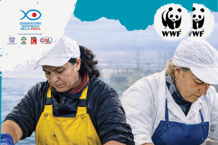 Tecniche e metodologie di lavorazione e conservazione del pescato